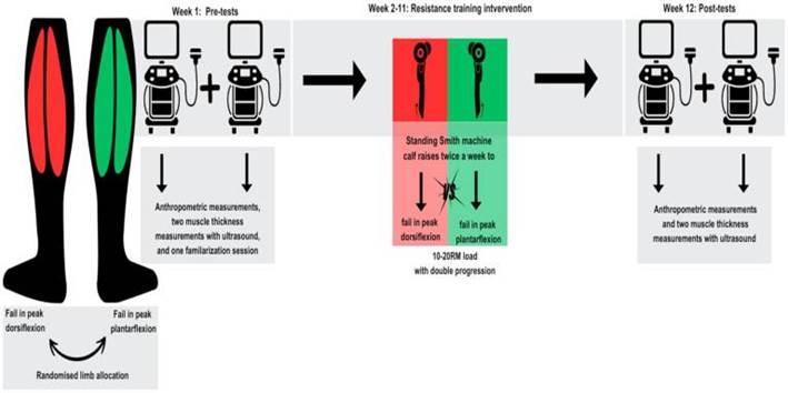 Imagen que contiene DiagramaEl contenido generado por IA puede ser incorrecto.