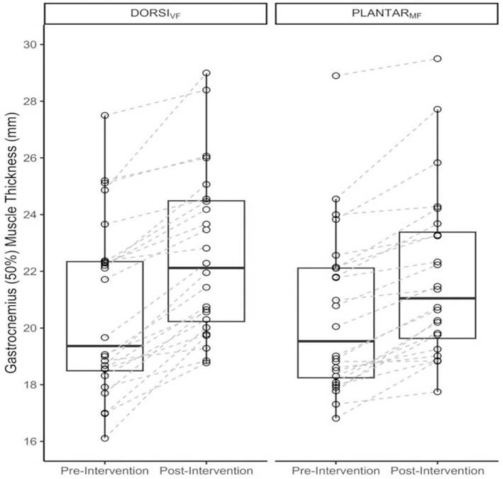 Figura 3
