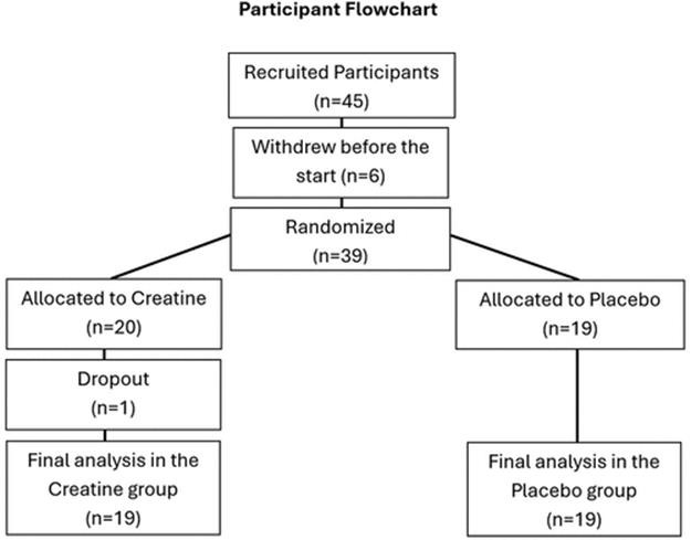 Figura 1. Diagrama de flujo de inscripción, aleatorización y análisis de participantes.
