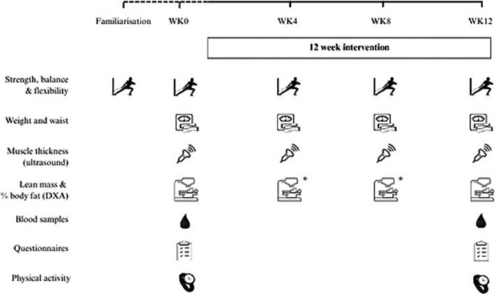 FIGURA 2