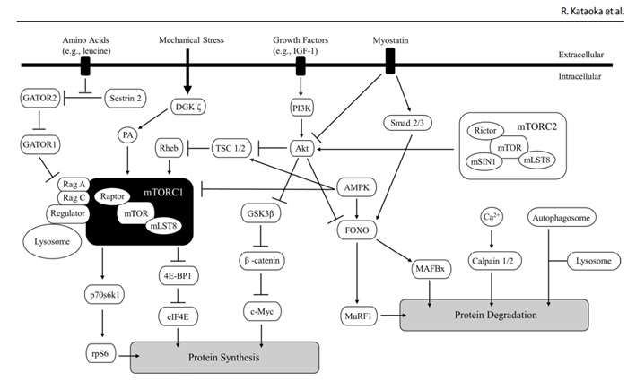DiagramaEl contenido generado por IA puede ser incorrecto.