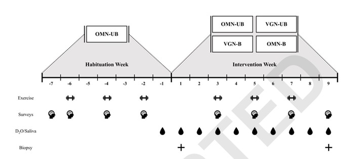 DiagramaEl contenido generado por IA puede ser incorrecto.