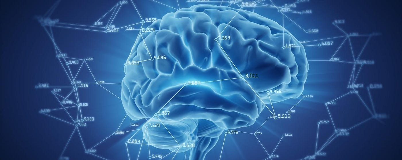 El Costo Metabólico De La Cognición: Menos De Lo Que Crees