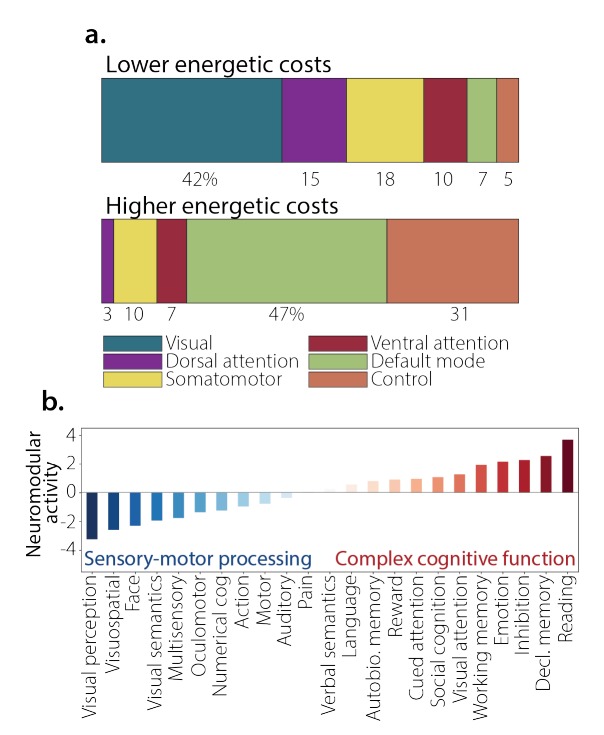 Gráfico, Gráfico de barrasEl contenido generado por IA puede ser incorrecto.