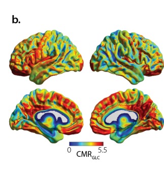 FormaEl contenido generado por IA puede ser incorrecto.