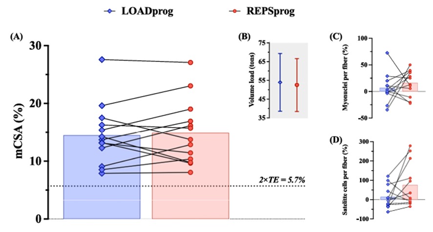 GráficoEl contenido generado por IA puede ser incorrecto.