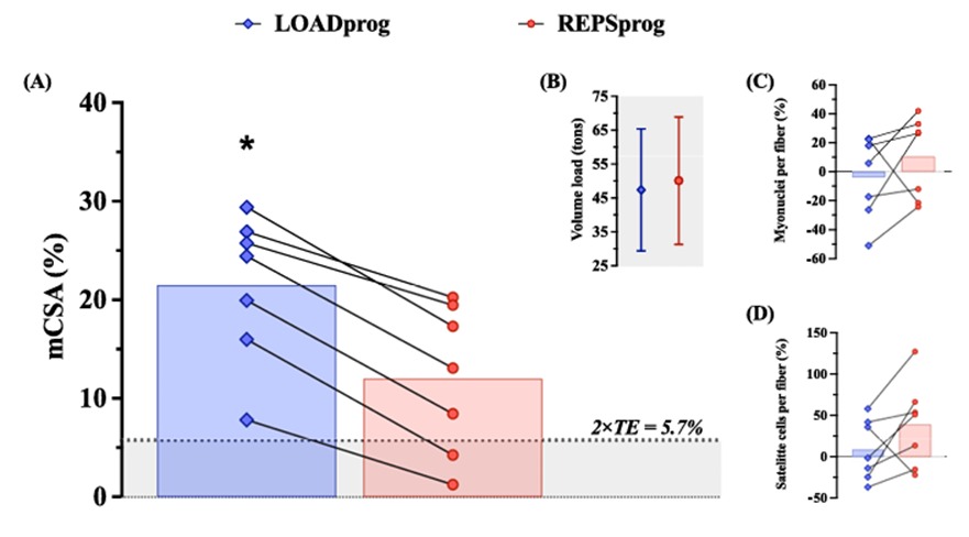 GráficoEl contenido generado por IA puede ser incorrecto.