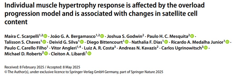 GráficoEl contenido generado por IA puede ser incorrecto.