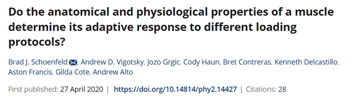 Interfaz de usuario gráfica, Texto, AplicaciónEl contenido generado por IA puede ser incorrecto.