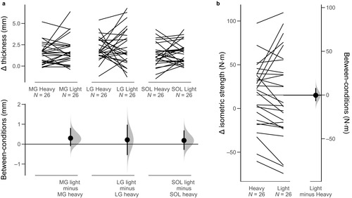 Los detalles se encuentran en el título que sigue a la imagen.