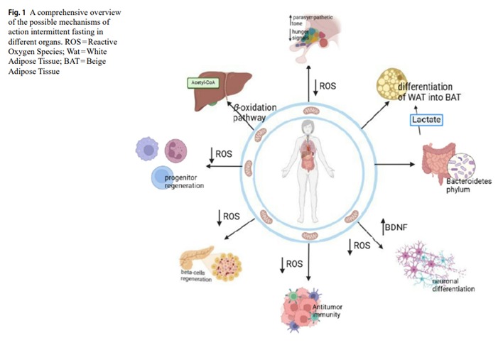 DiagramaEl contenido generado por IA puede ser incorrecto.