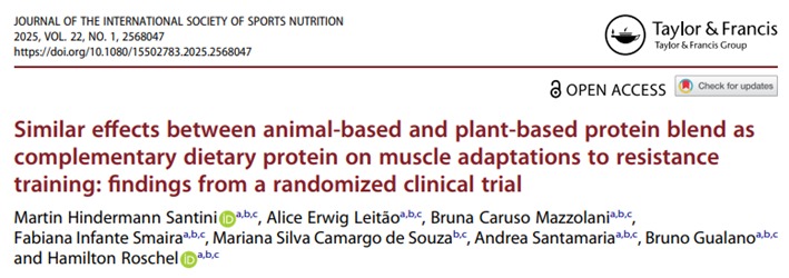 Interfaz de usuario gráfica, Texto, AplicaciónEl contenido generado por IA puede ser incorrecto.