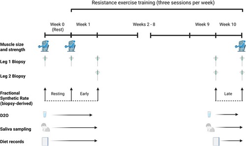 Los detalles se encuentran en el título que sigue a la imagen.