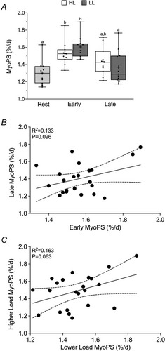 Los detalles se encuentran en el título que sigue a la imagen.