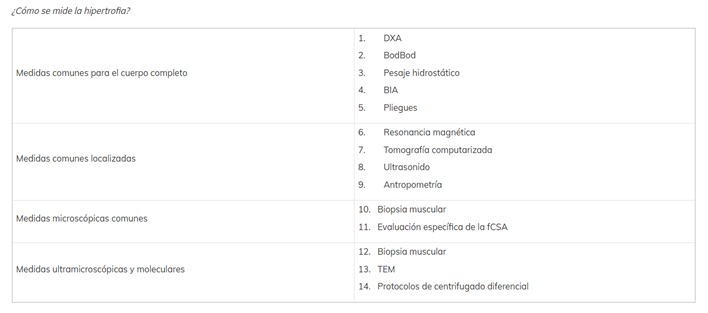 Interfaz de usuario gráfica, Texto, AplicaciónEl contenido generado por IA puede ser incorrecto.