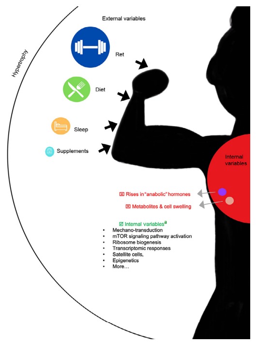 DiagramaEl contenido generado por IA puede ser incorrecto.