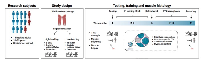 Interfaz de usuario gráfica, DiagramaEl contenido generado por IA puede ser incorrecto.
