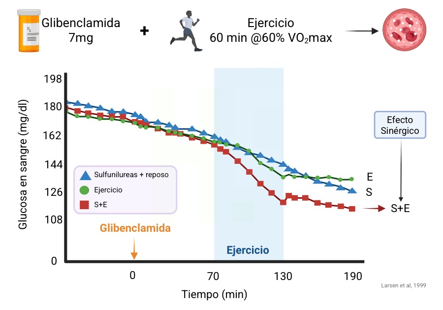 Hipoglucemia y Ejercicio en el Paciente con Diabetes