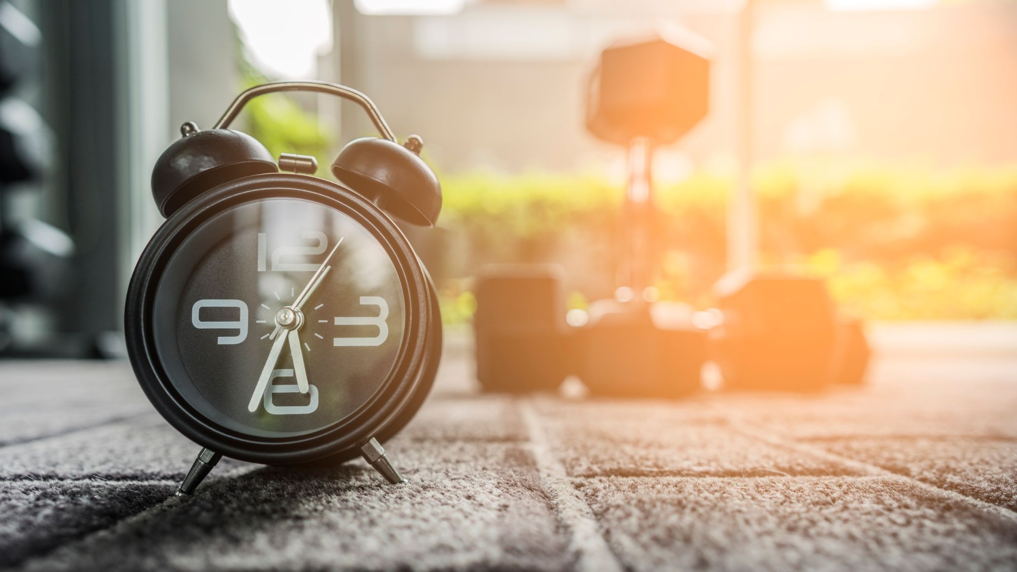 Optimización Del Horario De Entrenamiento: ¿Ejercicio En Futilidad?