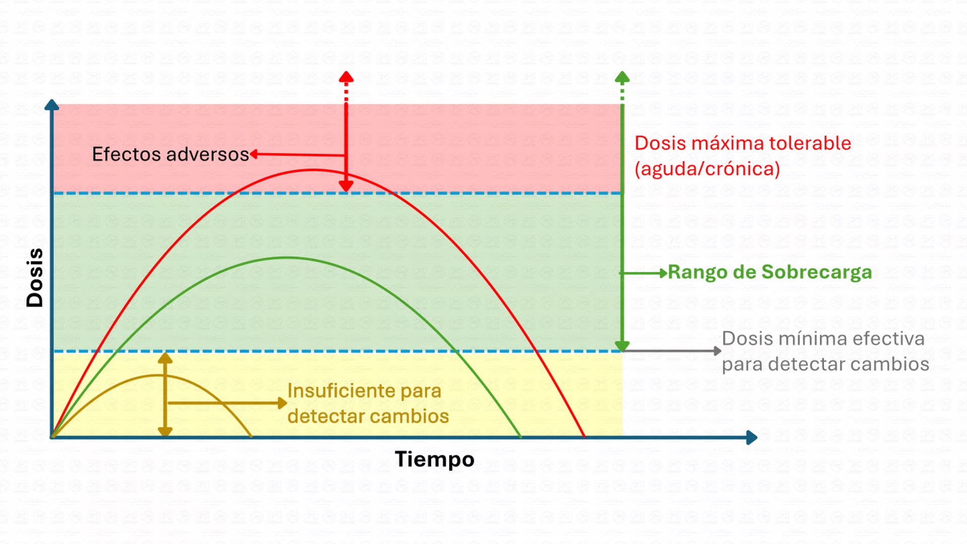 Sobrecarga vs Sobrecarga Progresiva