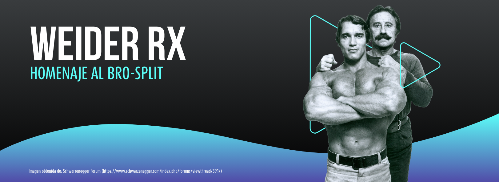 Weider RX